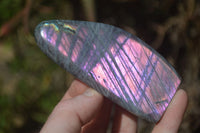 Polished Rare Purple Flash Labradorite Standing Free Forms x 4 From Tulear, Madagascar