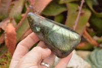 Polished Labradorite Standing Free Forms With Intense Blue & Gold Flash x 3 From Tulear, Madagascar - TopRock