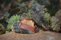 Natural Rough Bloodstone Cobbed Specimens  x 12 From Swaziland