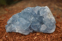 Natural Blue Celestite Crystal Specimens  x 6 From Madagascar - Toprock Gemstones and Minerals 