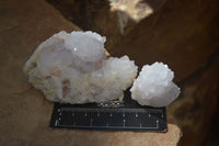 Natural White Cactus Flower Spirit Quartz Specimens x 12 From Boekenhouthoek, South Africa