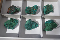 Natural Dioptase & Malachite Specimens  x 6 From Likasi, Congo