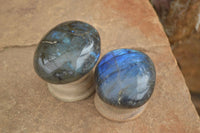 Polished Flashy Labradorite Palm Stones  x 12 From Tulear, Madagascar - TopRock