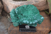 Natural Groovy Botryoidal Malachite With Chrysocolla Specimens x 2 From Kolwezi, Congo