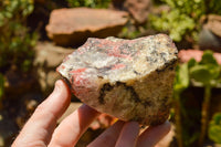 Natural Rough Pink & Black Rhodonite Specimens  x 6 From Zimbabwe - TopRock