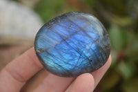 Polished Flashy Labradorite Palm Stones  x 12 From Tulear, Madagascar - TopRock