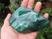 Polished Malachite Free Forms x 3 From Kolwezi, Congo - TopRock