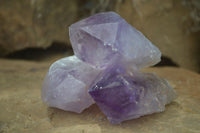 Natural Jacaranda Amethyst Crystals  x 12 From Mumbwa, Zambia - Toprock Gemstones and Minerals 