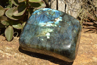 Polished Labradorite Standing Free Forms With Intense Blue & Gold Flash x 2 From Sakoany, Madagascar - TopRock