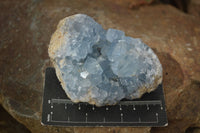 Natural Blue Celestite Crystal Specimens  x 6 From Madagascar - Toprock Gemstones and Minerals 