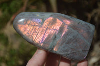 Polished Rare Purple Flash Labradorite Standing Free Forms x 4 From Tulear, Madagascar