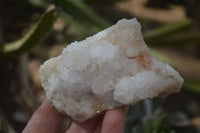 Natural White Cactus Flower Spirit Quartz Specimens x 12 From Boekenhouthoek, South Africa