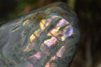 Polished Rare Purple Flash Labradorite Standing Free Forms x 2 From Tulear, Madagascar