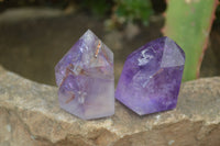 Polished Small Window Amethyst Points x 12 From Madagascar