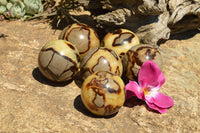 Polished Septarian (Calcite & Aragonite) Spheres  x 6 From Mahajanga, Madagascar - TopRock