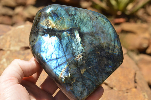 Polished Labradorite Standing Free Forms With Intense Blue & Gold Flash x 2 From Sakoany, Madagascar - TopRock