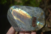 Polished Rare Purple Flash Labradorite Standing Free Forms x 2 From Tulear, Madagascar