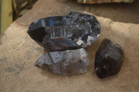 Natural Smokey Quartz Crystal Specimens x 3 From Malawi