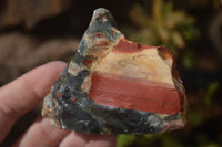 Natural Rough Bloodstone Cobbed Specimens  x 12 From Swaziland