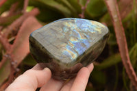 Polished Labradorite Standing Free Forms With Intense Blue & Gold Flash x 3 From Tulear, Madagascar - TopRock