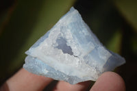 Natural Etched Blue Chalcedony Specimens  x 35 From Nsanje, Malawi