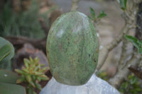 Polished Green Chrysoprase Standing Free Forms  x 2 From Madagascar - TopRock