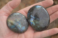 Polished Flashy Labradorite Palm Stones  x 12 From Tulear, Madagascar - TopRock