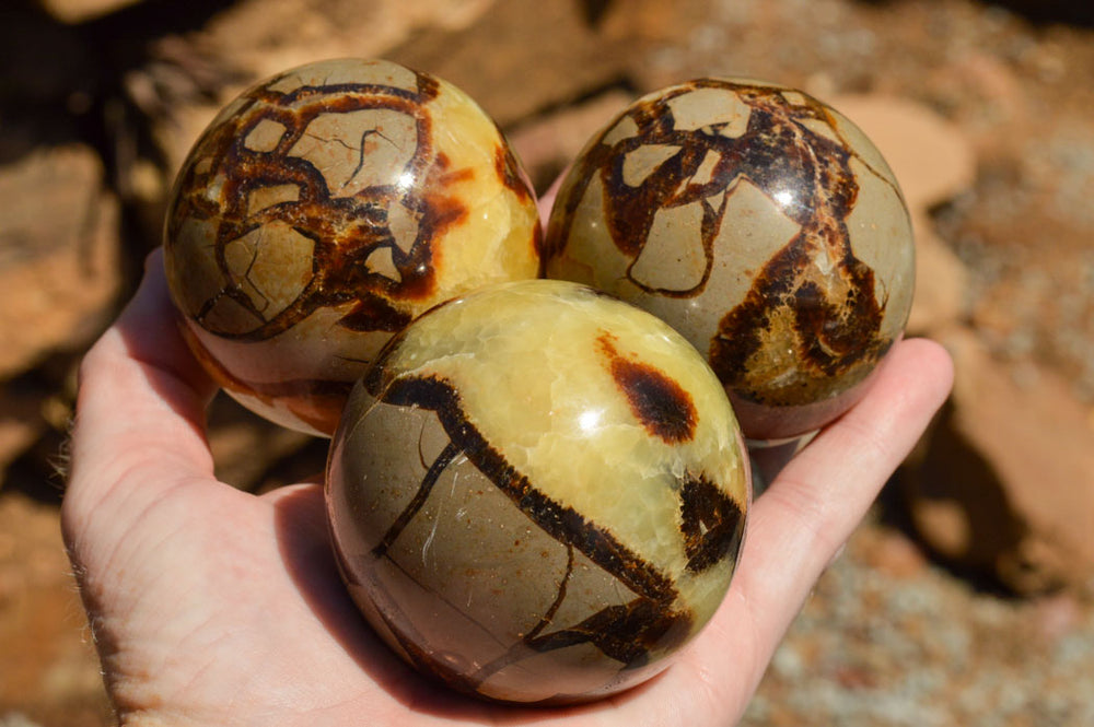 Large Natural Stone outlet Septarian Sphere