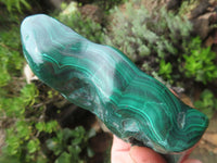 Polished Malachite Free Forms x 3 From Kolwezi, Congo - TopRock