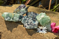 Natural Cobbed Watermelon Fluorite Specimens  x 5 From Uis, Namibia - TopRock