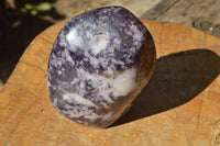 Polished Purple Lepidolite Free Forms x 2 From Zimbabwe - TopRock