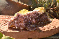 Natural Dark "Amethystos" Amethyst Clusters  x 6 From Kwaggafontein, South Africa - TopRock