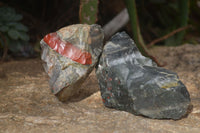 Natural Rough Bloodstone Cobbed Specimens  x 12 From Swaziland