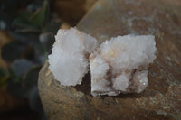 Natural White Cactus Flower Spirit Quartz Specimens x 12 From Boekenhouthoek, South Africa