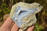 Natural Blue Lace Agate Geode Specimens  x 12 From Nsanje, Malawi - TopRock