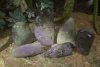 Polished Purple Stichtite Standing Free Forms x 6 From Barberton, South Africa