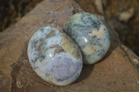 Polished Extra Large Dendritic Opal Palm Stones  x 6 From Madagascar - Toprock Gemstones and Minerals 