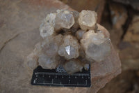 Natural Cascading White Phantom Smokey Quartz Clusters  x 2 From Luena, Congo - Toprock Gemstones and Minerals 