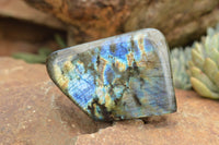 Polished Labradorite Standing Free Forms With Intense Blue & Gold Flash x 3 From Tulear, Madagascar - TopRock