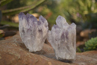 Natural Sugar Amethyst Clusters  x 6 From Solwezi, Zambia