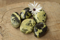 Polished Selected Leopard Stone Free Forms With Nice Colour & Patterns  x 5 From Zimbabwe - TopRock