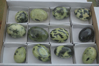 Polished Leopard Stone Eggs  x 12 From Zimbabwe - TopRock