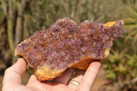 Natural Dark "Amethystos" Amethyst Clusters  x 6 From Kwaggafontein, South Africa - TopRock