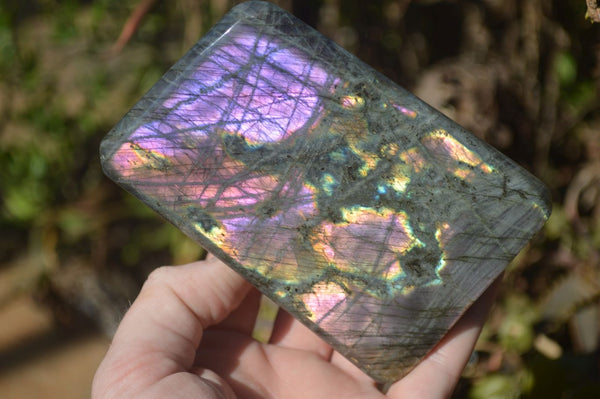 Polished Rare Purple Flash Labradorite Standing Free Forms x 2 From Tulear, Madagascar