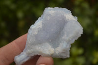 Natural Etched Blue Chalcedony Specimens  x 35 From Nsanje, Malawi