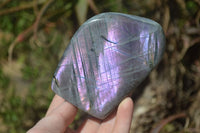 Polished Rare Purple Flash Labradorite Standing Free Forms x 4 From Tulear, Madagascar