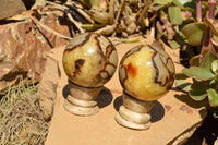 Polished Septarian (Calcite & Aragonite) Spheres  x 6 From Mahajanga, Madagascar - TopRock