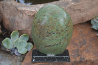 Polished Green Chrysoprase Standing Free Forms  x 2 From Madagascar - TopRock