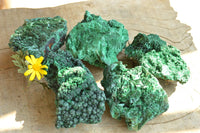 Natural Chatoyant Silky Malachite Specimens  x 5 From Kasompe, Congo - TopRock