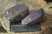 Polished Purple Stichtite Standing Free Forms x 6 From Barberton, South Africa